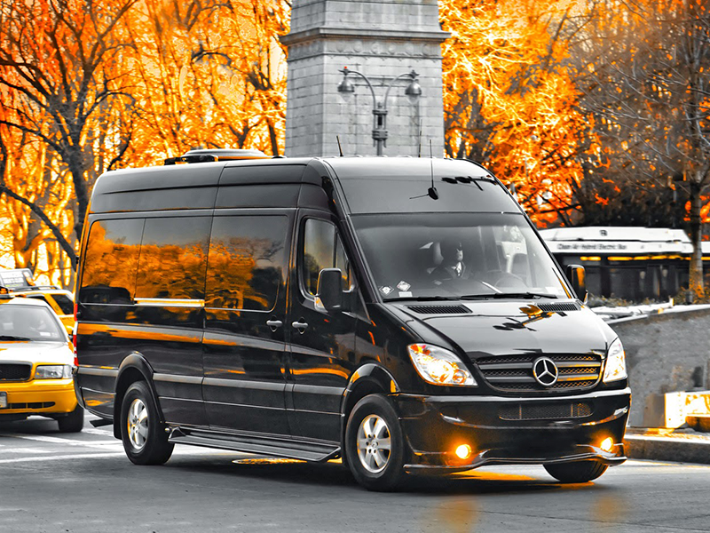 Vip sprinter sürücü ilə