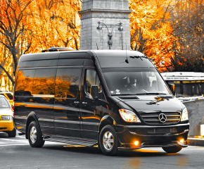 Vip sprinter sürücü ilə