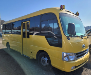 Hyundai county icaresi