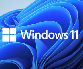 Windows 11 lisenziyasi