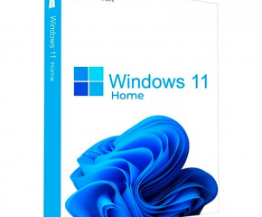 Windows 11