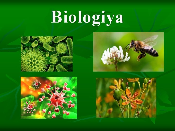Biologiya fənni üzrə hazırlıq.