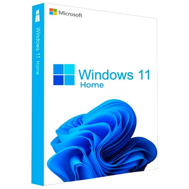 Windows 11