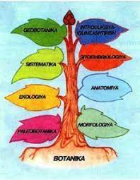 Biologiya fənni üzrə hazırlıq.