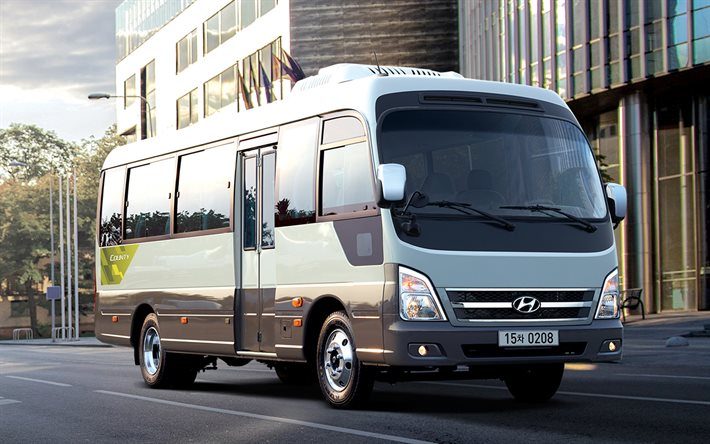 Hyundai county