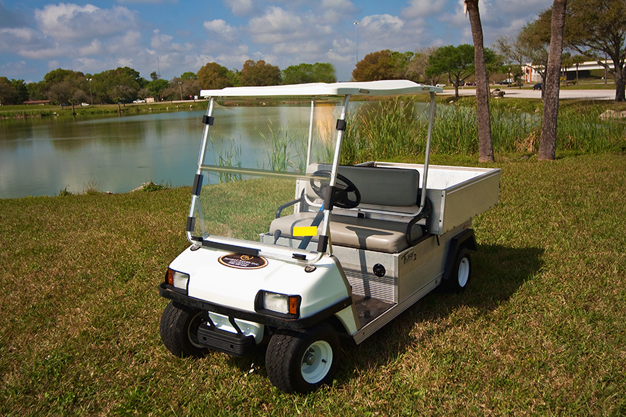 Aylıq golf car icarəsi