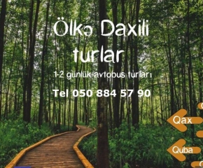 Ölkədaxili turlar