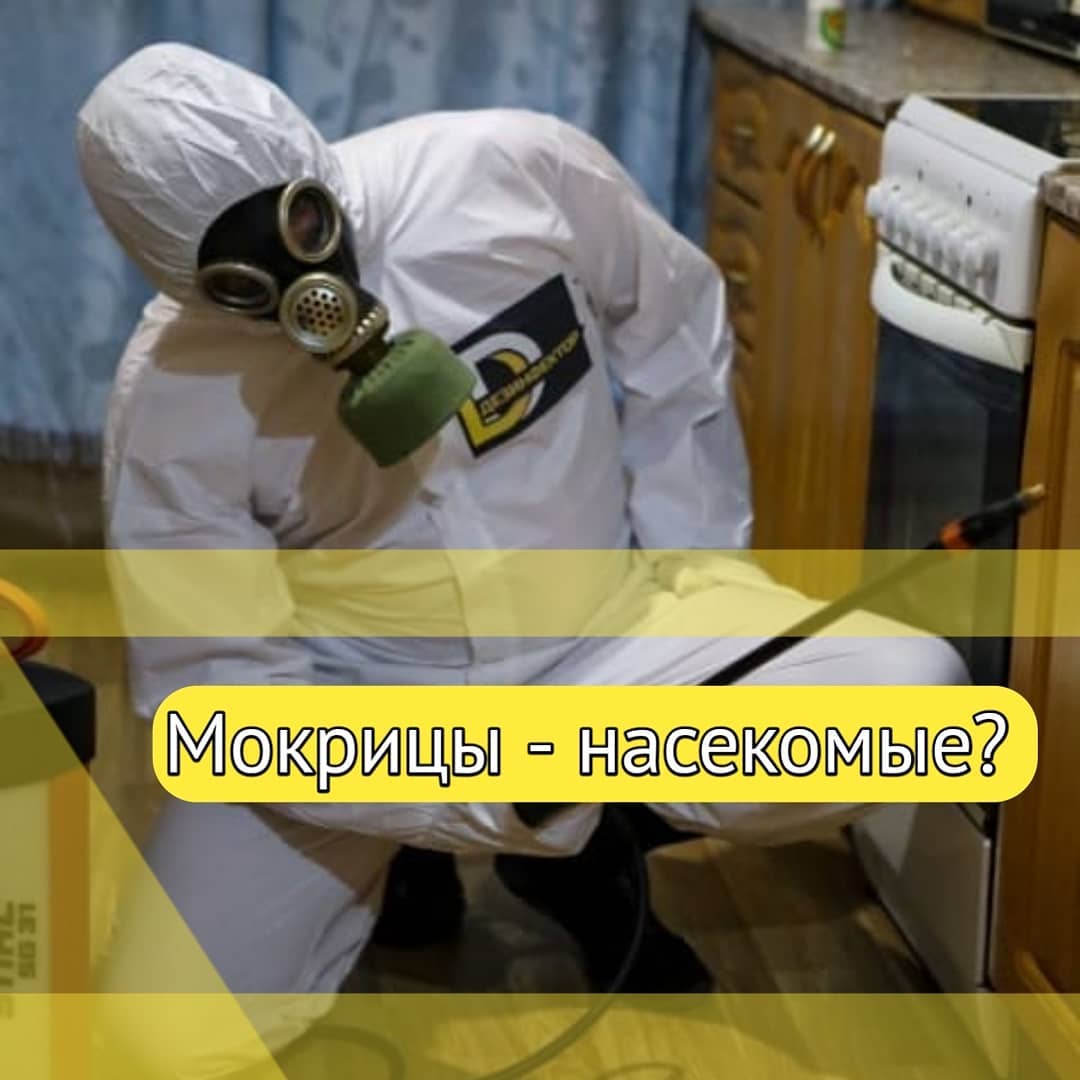 Dezinfeksiya xidməti